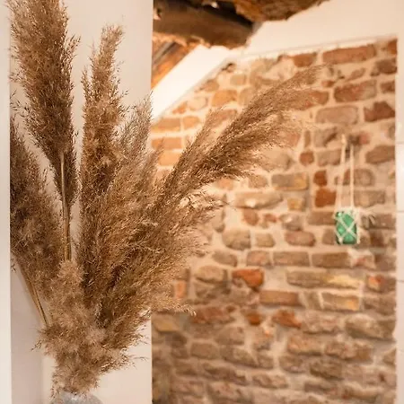 La Trave Bed & Breakfast Montecosaro  Exterior photo