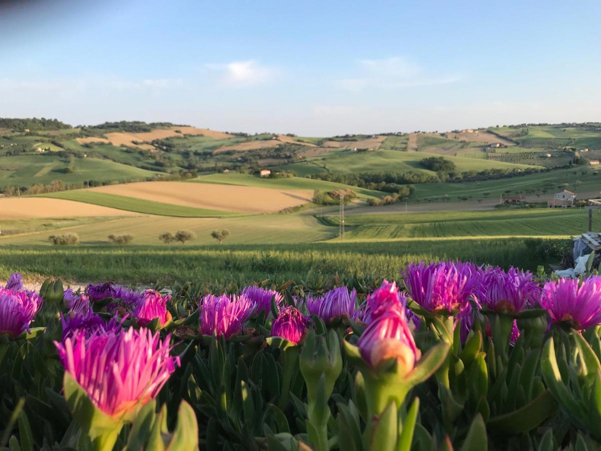 La Trave * Montecosaro (Marche)